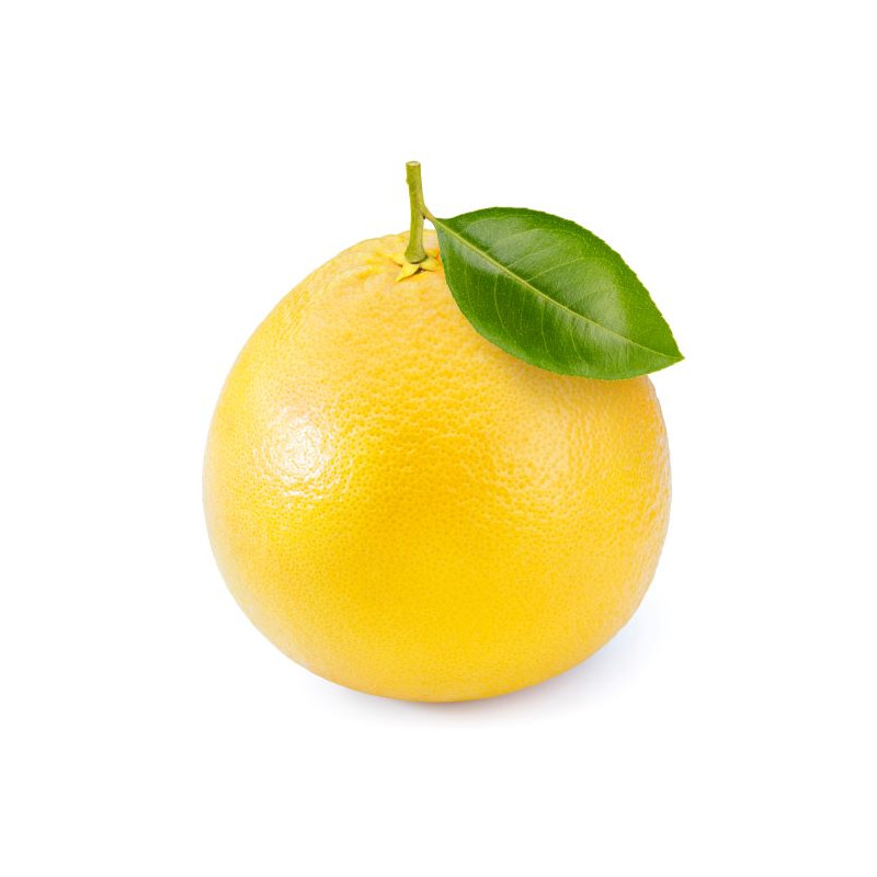 GRAPEFRUIT BLANC 36PCS